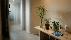 15 plantas ligadas à energia positiva para ter em casa — e 10 hábitos simples para deixar o ambiente mais leve