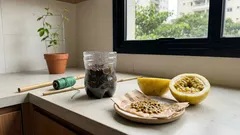 Maracujá em casa — a época certa, o passo a passo e o detalhe da polinização que costuma passar batido