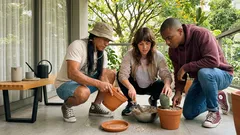 Cacto bonito não é sorte: 6 cuidados simples (e um erro comum) para ele crescer firme